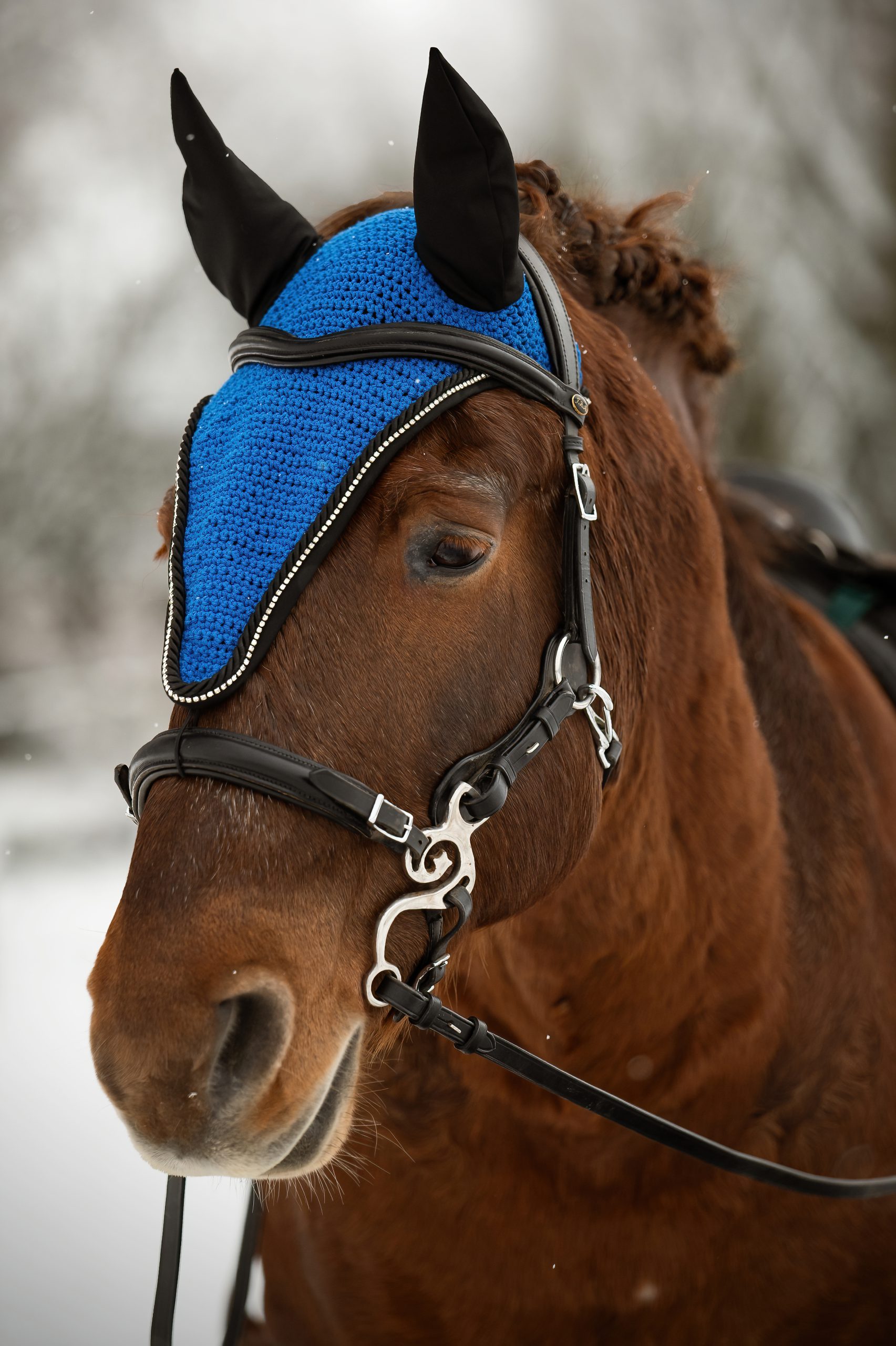 Ušaňa Classy, Blue - Image 3