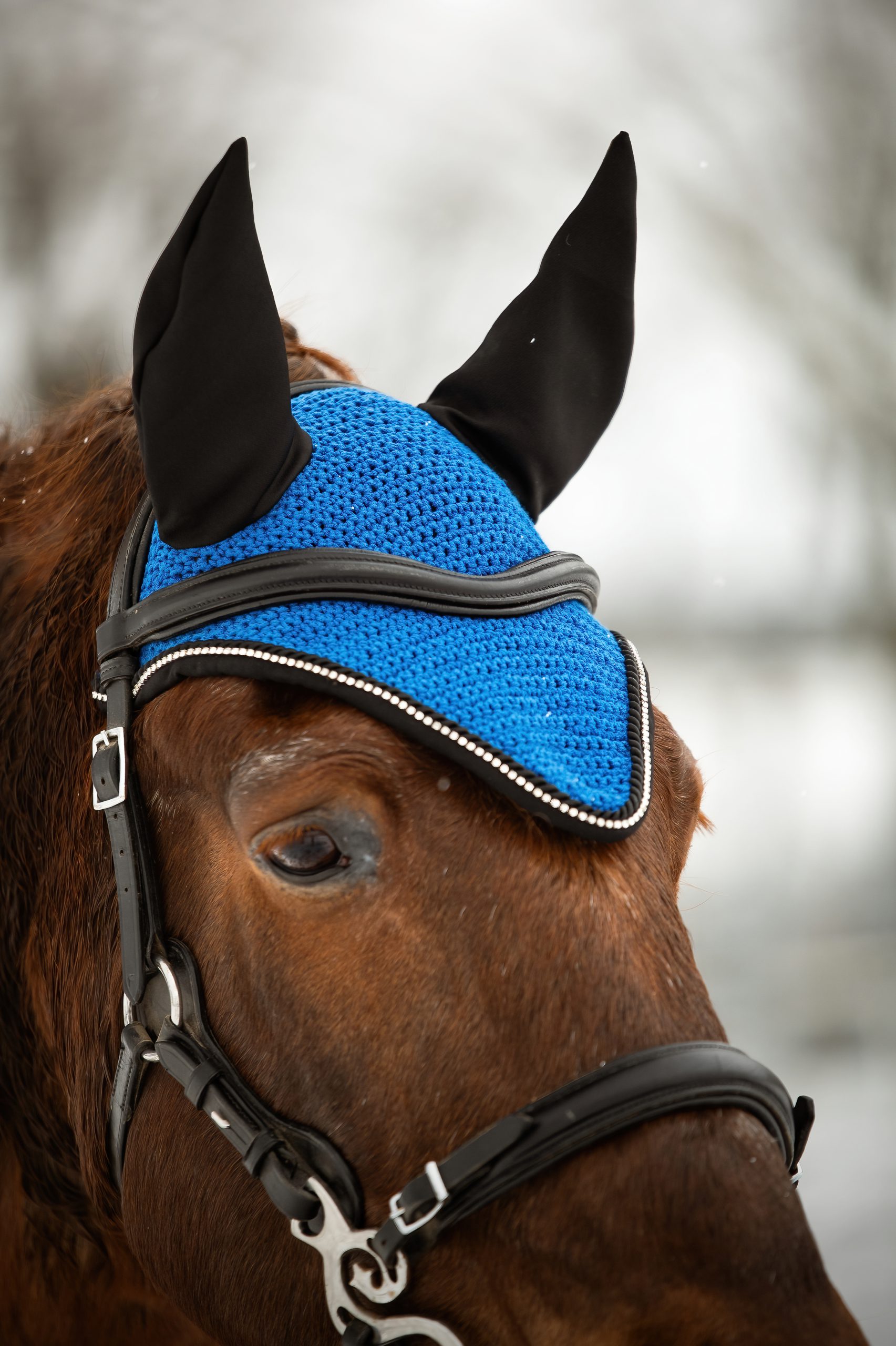Ušaňa Classy, Blue - Image 2