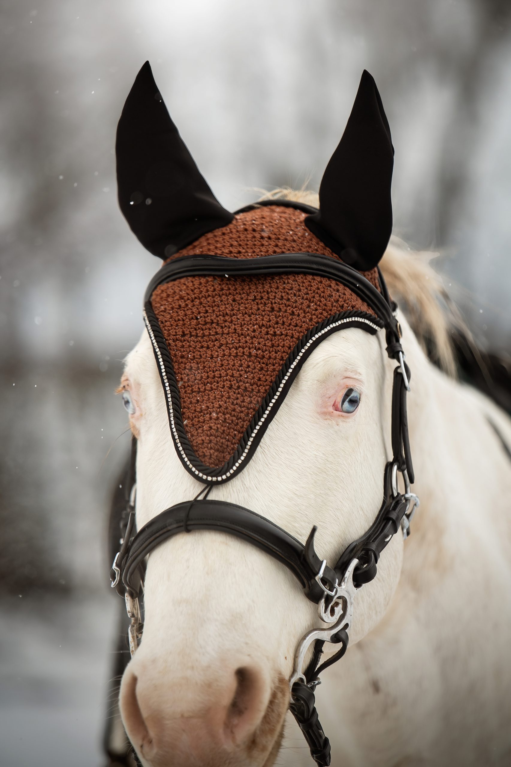 Ušaňa Classy, Brown - Image 3