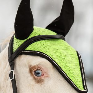 Ušaňa Classy, Green - Image 1