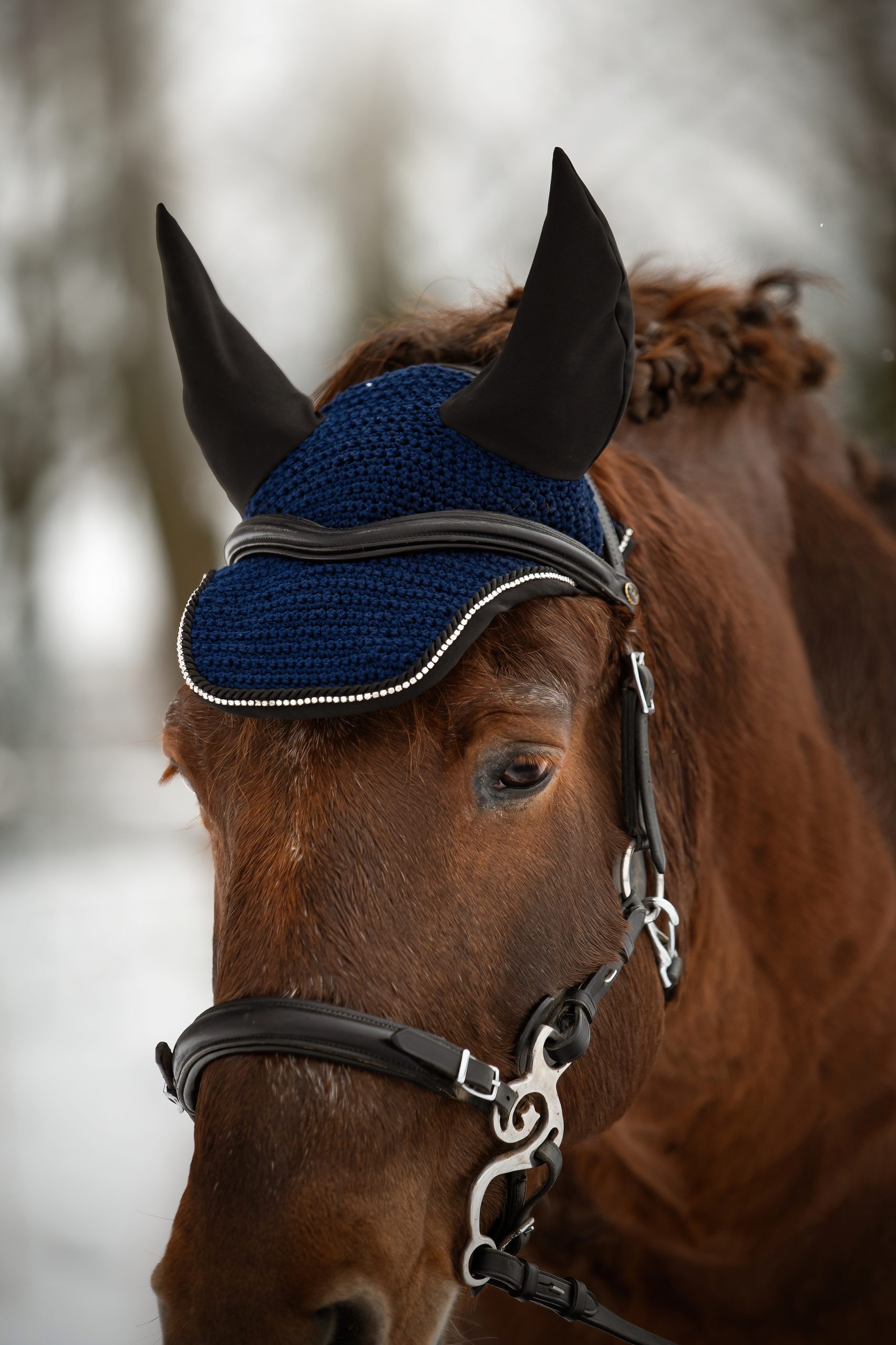 Ušaňa Classy, Navy - Image 2