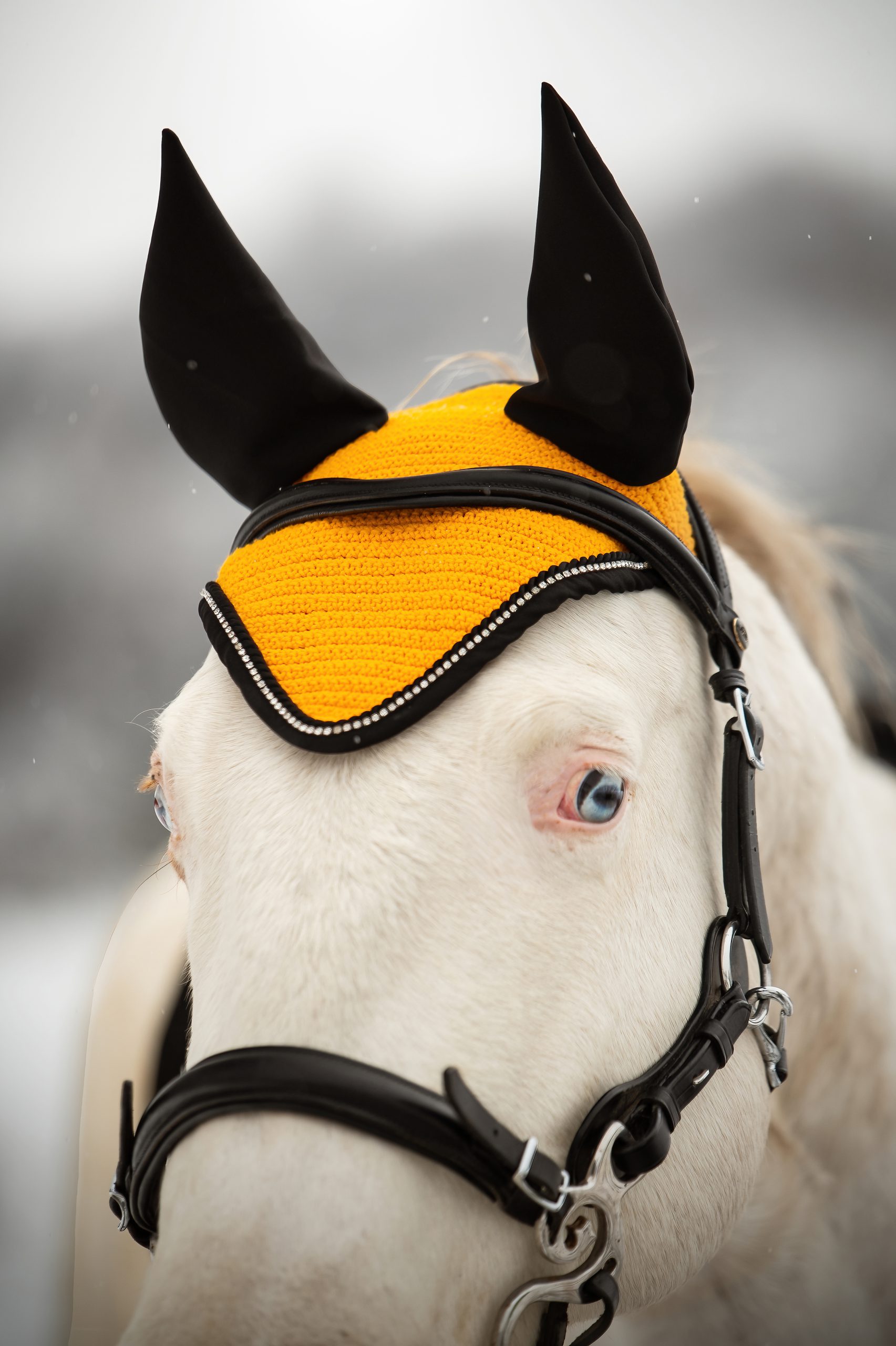 Ušaňa Classy, Orange - Image 2