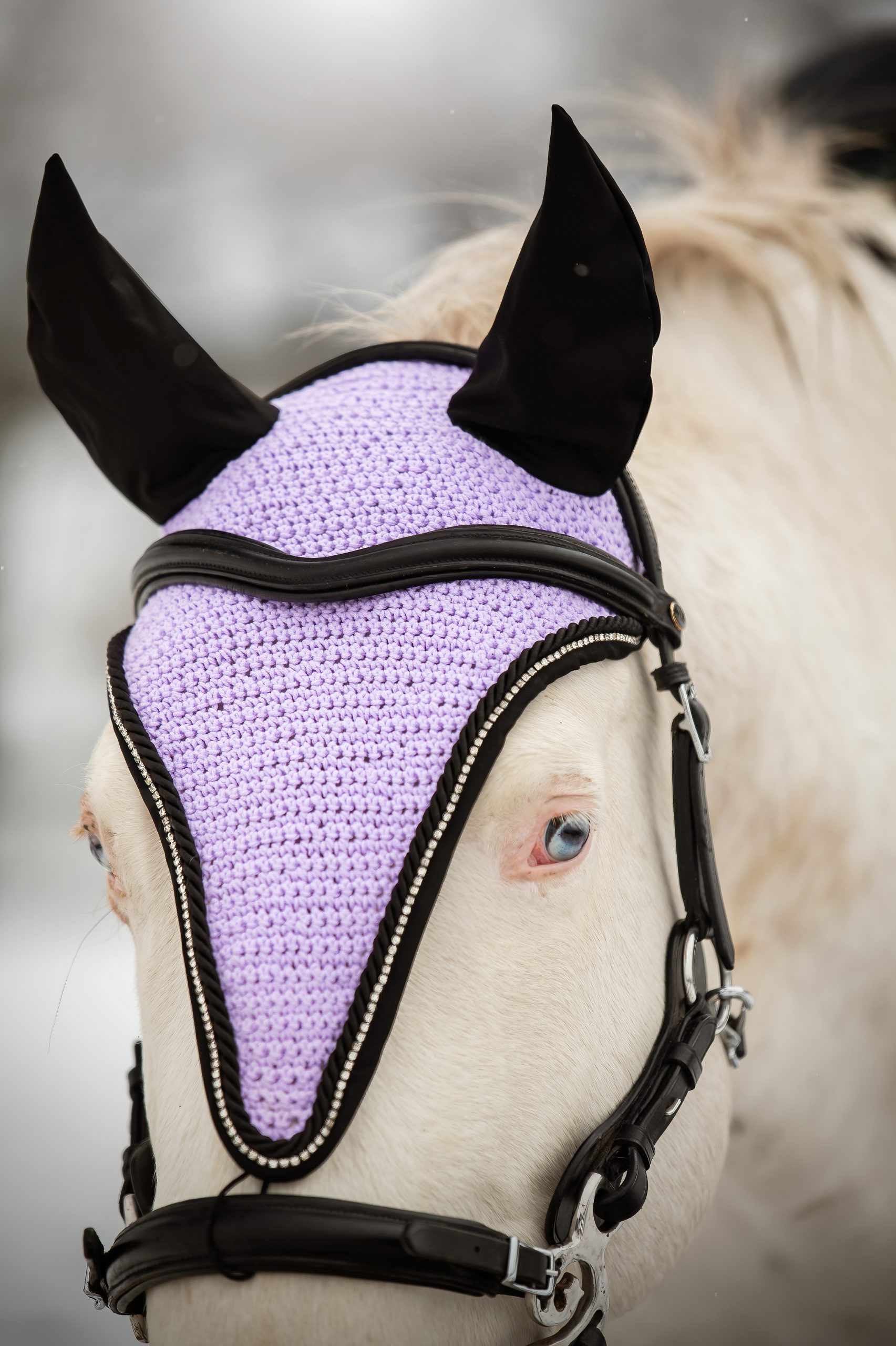 Ušaňa Classy, Violet - Image 2