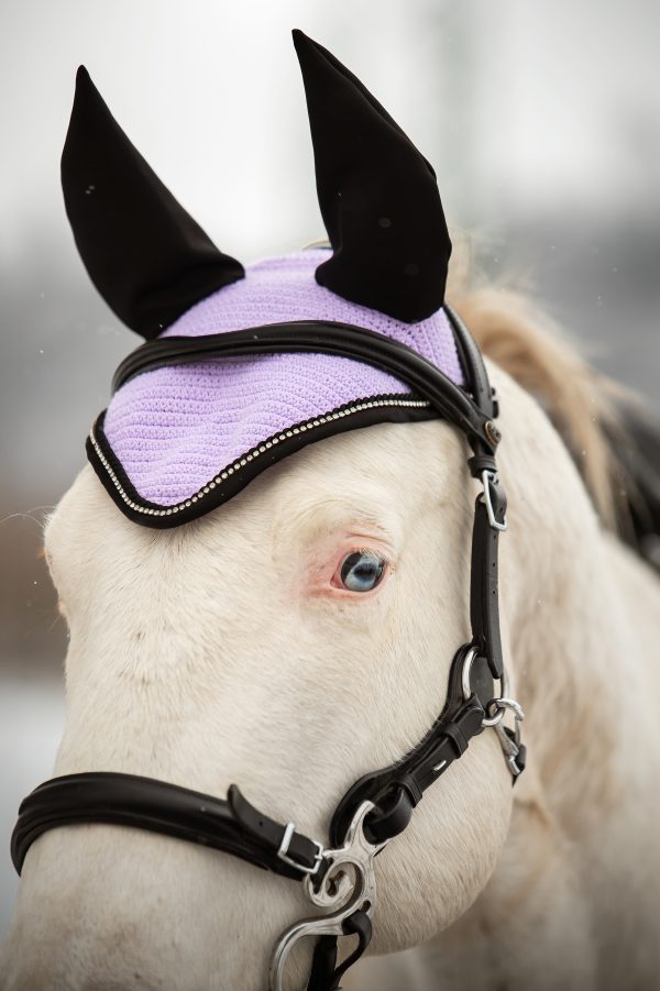 Ušaňa Classy, Violet